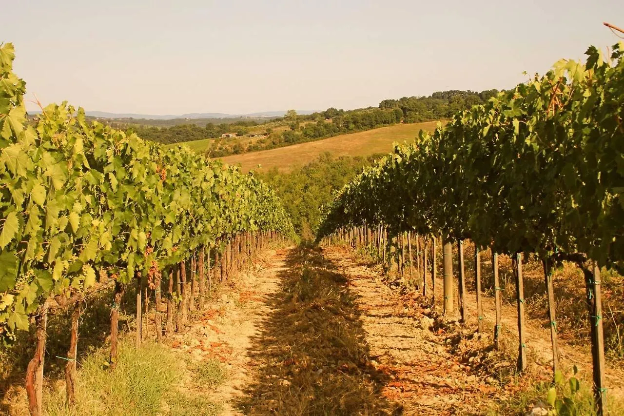 Il Cantuccio Nel Chianti Vagliagli