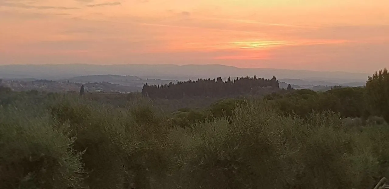 Apartment Il Cantuccio Nel Chianti Vagliagli